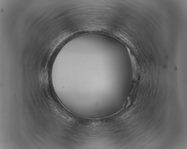 X0000076090584200610061643