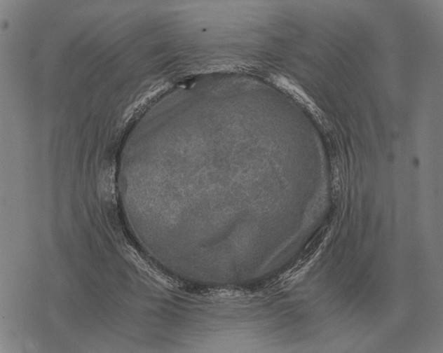 X0000076090585200610061643