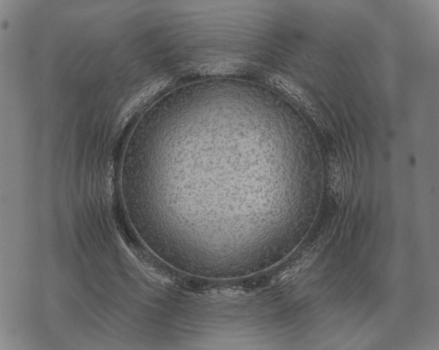 X0000076090586200610061643