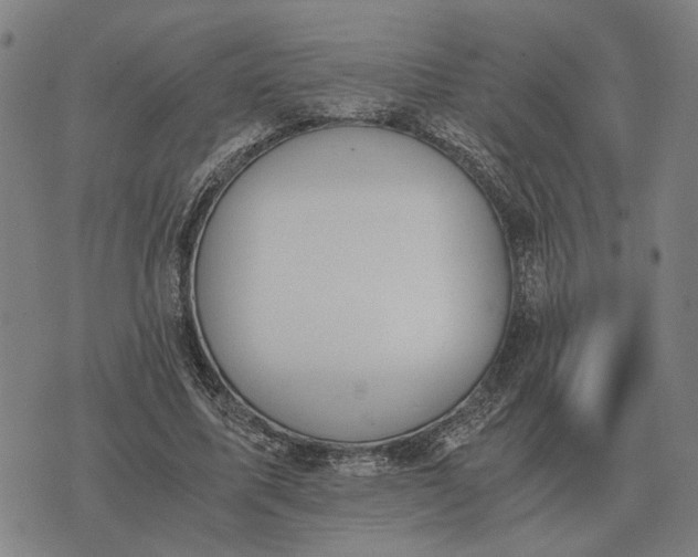 X0000076090587200610061643