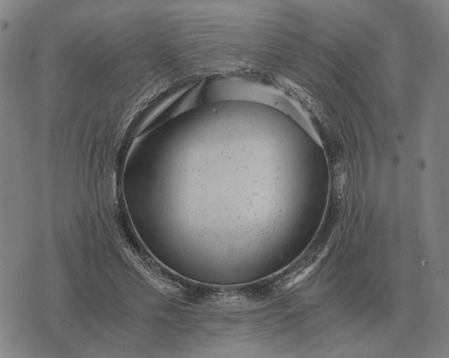 X0000076090589200610061643