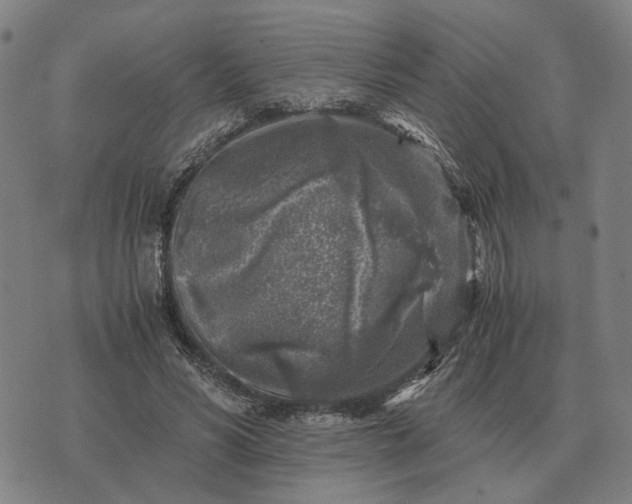 X0000076090590200610061643