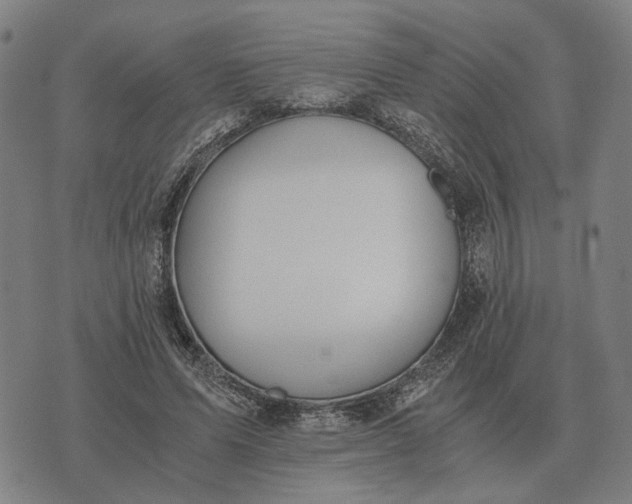 X0000076090591200610061643