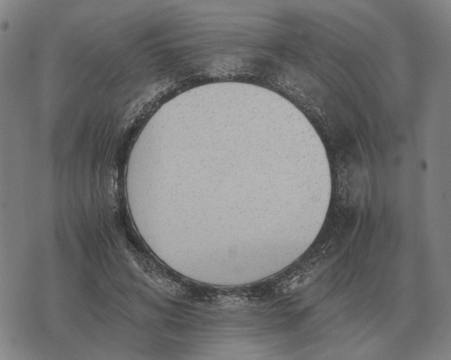 X0000076090592200610061643