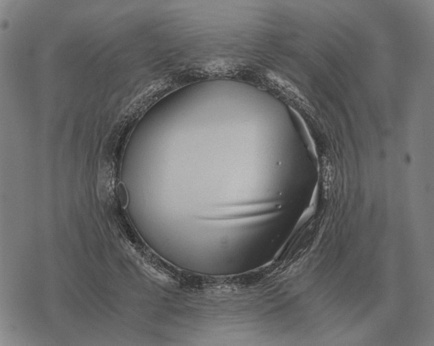 X0000076090593200610061643