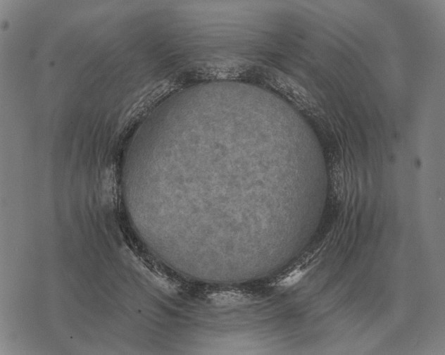 X0000076090594200610061643