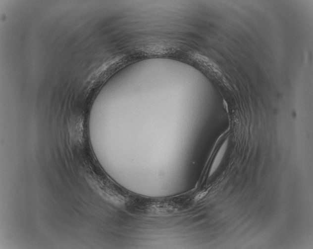 X0000076090596200610061643