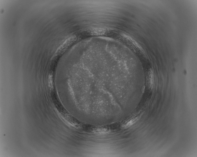 X0000076090598200610061643