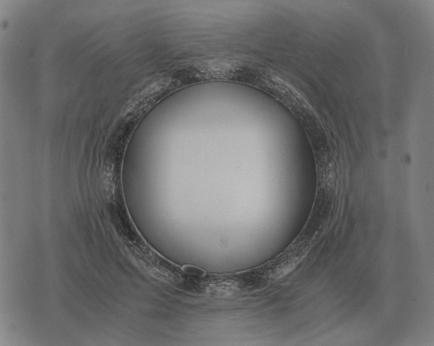 X0000076090599200610061643