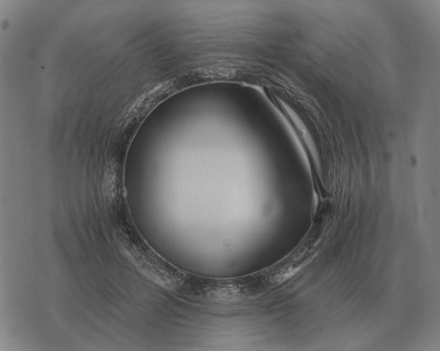 X0000076090600200610061643