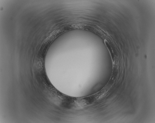 X0000076090603200610061643