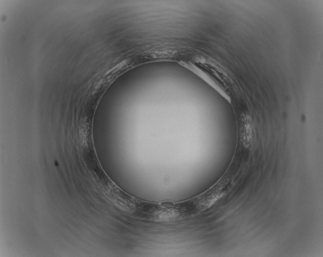 X0000076090604200610061643