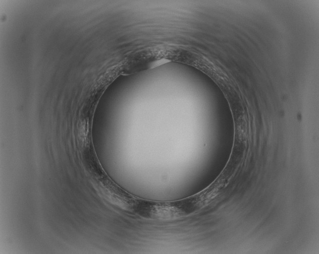 X0000076090605200610061643