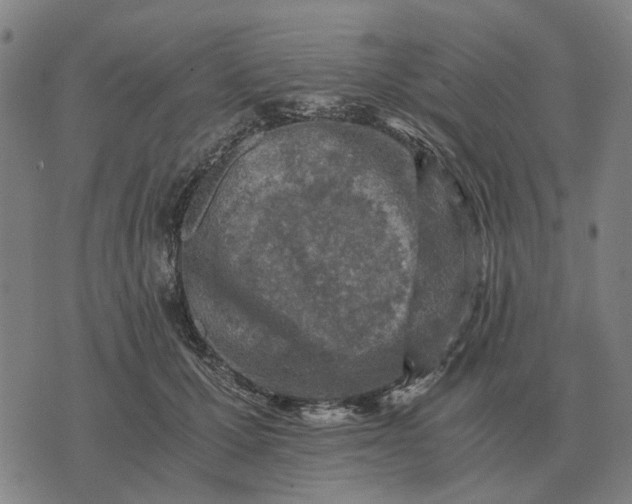 X0000076090607200610061643