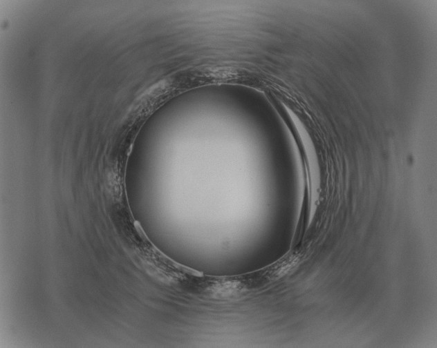 X0000076090609200610061643