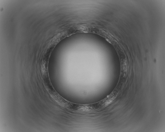 X0000076090611200610061643