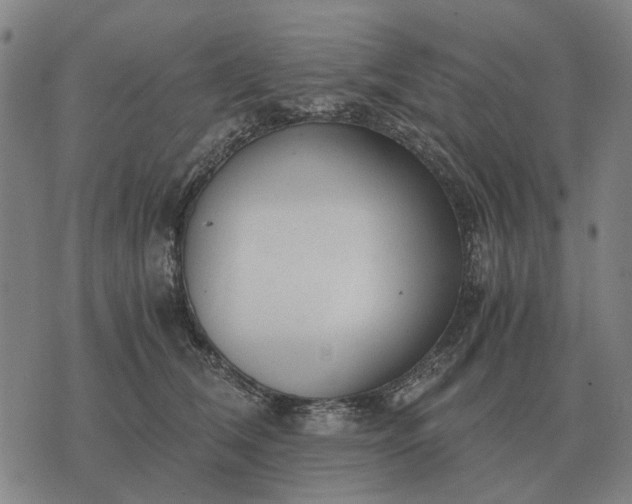 X0000076090612200610061643