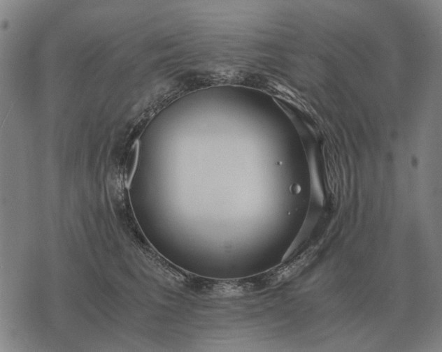 X0000076090613200610061643