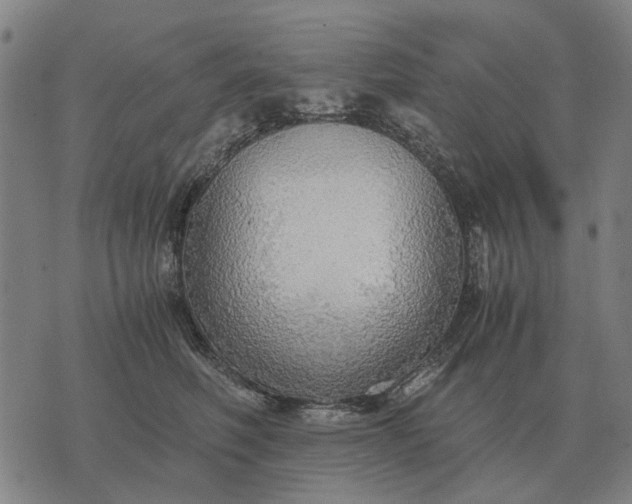 X0000076090614200610061643