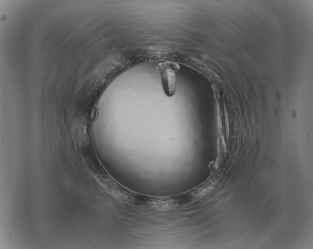 X0000076090615200610061643