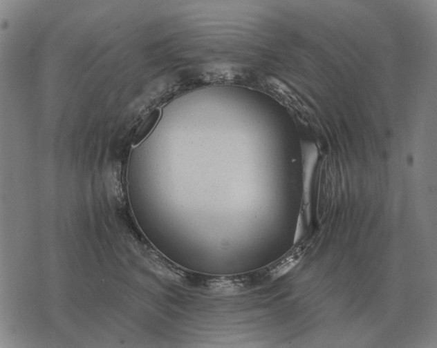 X0000076090616200610061643