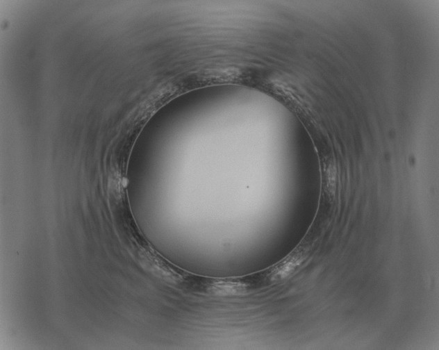 X0000076090617200610061643