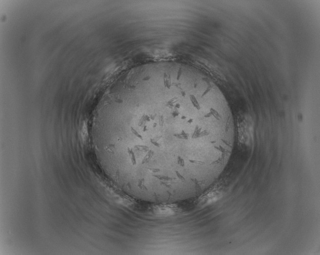 X0000076090618200610061643