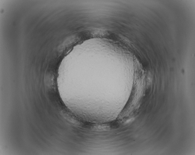 X0000076090619200610061643