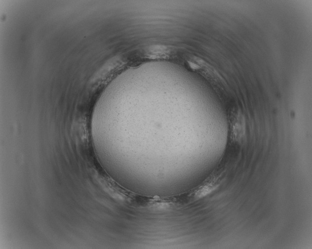 X0000076090620200610061643