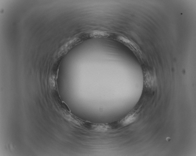 X0000076090621200610061643