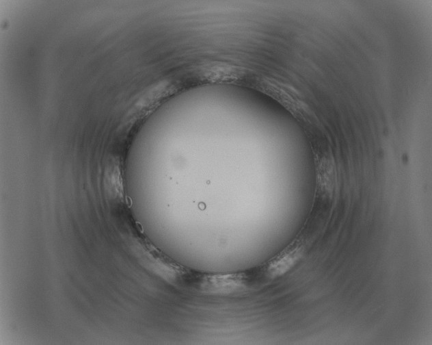 X0000076090622200610061643