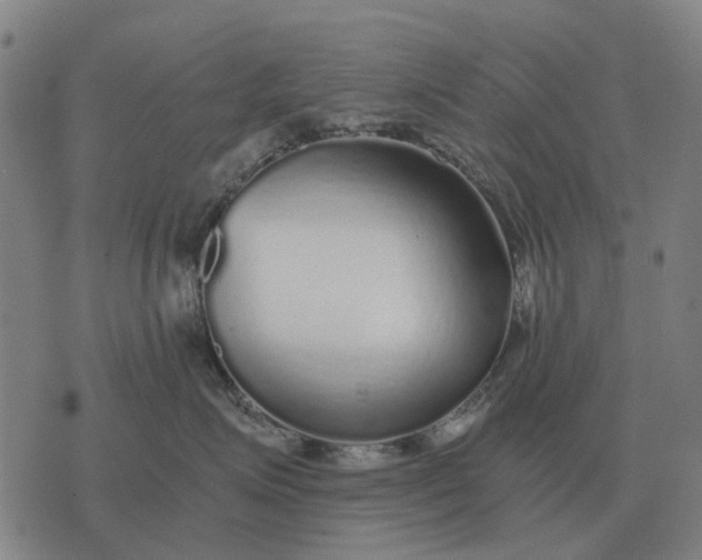 X0000076090623200610061642