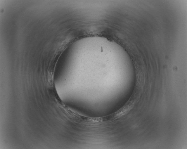 X0000076090624200610061642