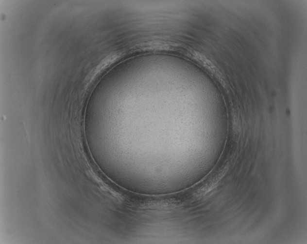 X0000076090625200610061642