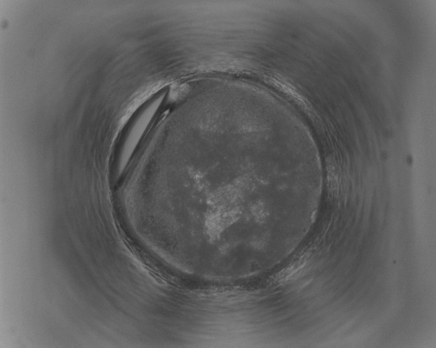 X0000076090626200610061642