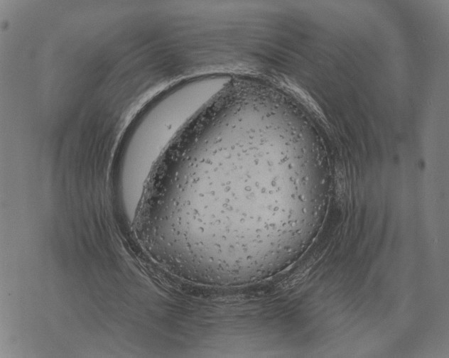 X0000076090628200610061642