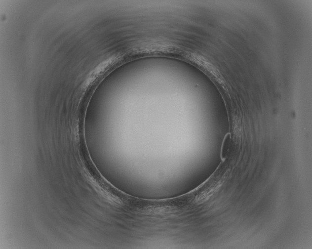 X0000076090629200610061642