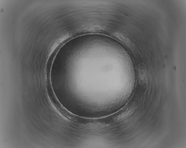 X0000076090630200610061642