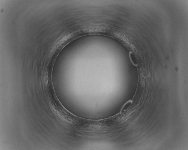 X0000076090631200610061642