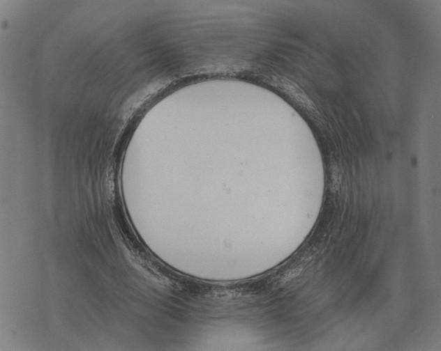 X0000076090632200610061642