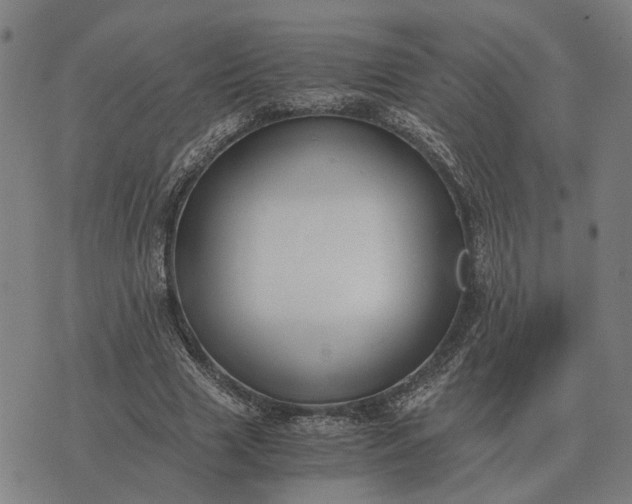 X0000076090633200610061642