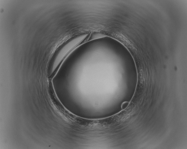 X0000076090634200610061642