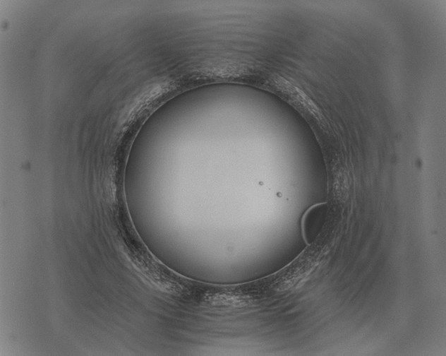 X0000076090635200610061642