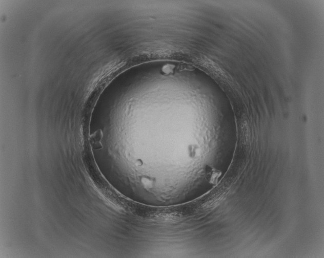 X0000076090638200610061642