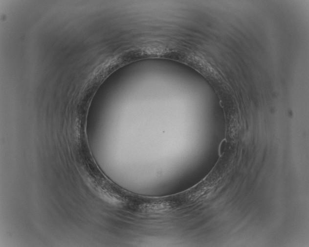 X0000076090639200610061642