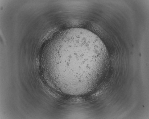 X0000076090642200610061642