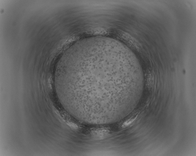 X0000076090643200610061642