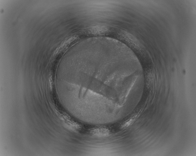 X0000076090644200610061642