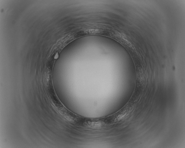 X0000076090645200610061642