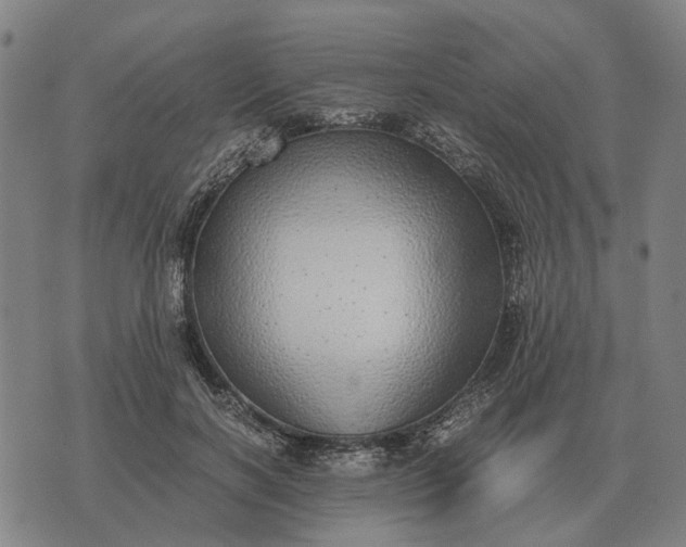 X0000076090646200610061642